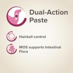 Beaphar Multi-Vitamin Paste for Ferrets 100g