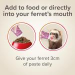 Beaphar Multi-Vitamin Paste for Ferrets 100g