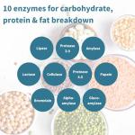 Fast Action Digestive Enzymes with Betaine HCl