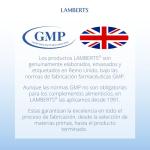 Lamberts Digestizyme - 100 Veggie Capsules