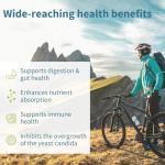 Fast Action Digestive Enzymes with Betaine HCl