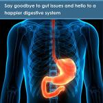 Nutranexus Pre & Probiotics Capsules for Gut Health