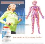 Nattokinase Enzyme for Heart and Circulatory Health