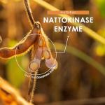 Nattokinase 100mg with BioPerine - Vegan Capsules