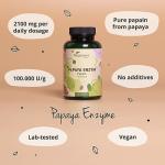 Vegavero Papaya Enzyme - 2,100 mg Natural Capsules