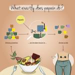 Vegavero Papaya Enzyme - 2,100 mg Natural Capsules