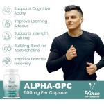 Vinco Alpha GPC 600mg Pure Choline Supplement