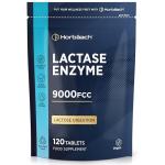 Lactase Enzyme Tablets for Lactose Digestion - 120 Vegan