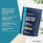 Lactase Enzyme Tablets for Lactose Digestion - 120 Vegan