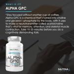 Alpha GPC 600mg Brain Support Supplement, 60 Capsules
