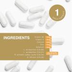 Pro-Ven Probiotics for Digestive and Immune Support