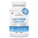 Bandini® Extra-Strength Lactase for Digestion - 80 Tablets