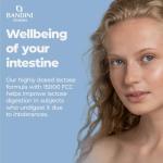 Bandini® Extra-Strength Lactase for Digestion - 80 Tablets