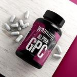 Warrior Alpha GPC - Choline Nootropic for Focus