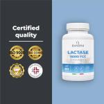 Bandini® Extra-Strength Lactase for Digestion - 80 Tablets