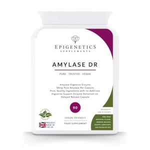 Amylase Digestive Support Enzymes - 90 Vegan Capsules