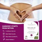 Amylase Digestive Support Enzymes - 90 Vegan Capsules
