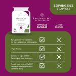 Amylase Digestive Support Enzymes - 90 Vegan Capsules