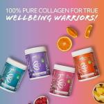 Digestive Enzyme Protein Powder with Collagen & Prebiotics