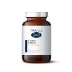 BioCare High Potency Lactase Enzyme – 60 Capsules