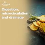 Bandini® High Strength Bromelain Tablets for Digestion