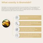 Bandini® High Strength Bromelain Tablets for Digestion