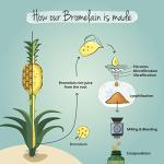 Vegavero Bromelain 650 mg - Pure Pineapple Enzyme