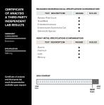 High-Potency Non-GMO Bromelain Capsules - 500mg