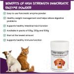 Pancreatic Enzyme Powder for Dogs & Cats 100g