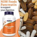 Now Foods Pancreatin 2000 Enzyme Blend 250 Capsules