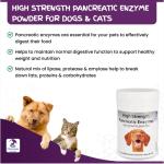 Pancreatic Enzyme Powder for Dogs & Cats 100g