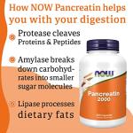 Now Foods Pancreatin 2000 Enzyme Blend 250 Capsules