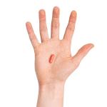 Troozyme Digestive Enzymes - 90 Capsules