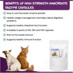 Pancreatic Enzyme Capsules for Dogs & Cats