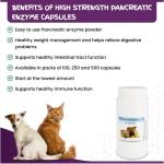 Pancreatic Enzyme Capsules for Dogs and Cats