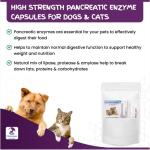 Pancreatic Enzyme Capsules for Dogs & Cats