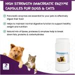 Pancreatic Enzyme Capsules for Dogs and Cats