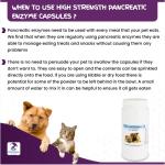 Pancreatic Enzyme Capsules for Dogs and Cats