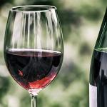 AGROHIT Browin Pectinase 10 ML for Wine Making