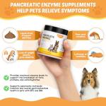 Digestive Enzymes for Dogs and Cats EPI Relief