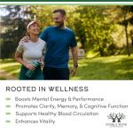 Panax Ginseng Vegan Capsules for Energy & Focus