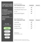 Panax Ginseng Vegan Capsules for Energy & Focus