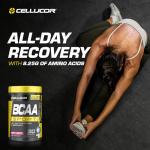 Cellucor BCAA Sport Cherry Limeade Hydration 11.6 oz