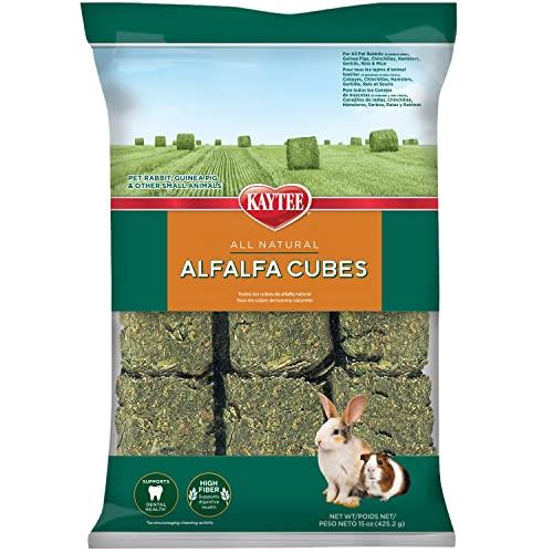 Alfalfa