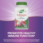Nature's Way Echinacea Purpurea 1,200 mg 180 VCaps