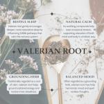 Organic Valerian Root - 4 oz Loose Leaf Tea