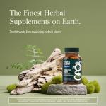 Gaia Herbs Valerian Root for Natural Sleep Aid