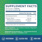 40 Billion CFU Probiotics for Gut and Immune Health