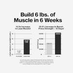 MuscleTech Platinum Creatine Monohydrate 400g Powder