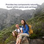 Puritan's Pride Glucosamine Chondroitin 120 Capsules